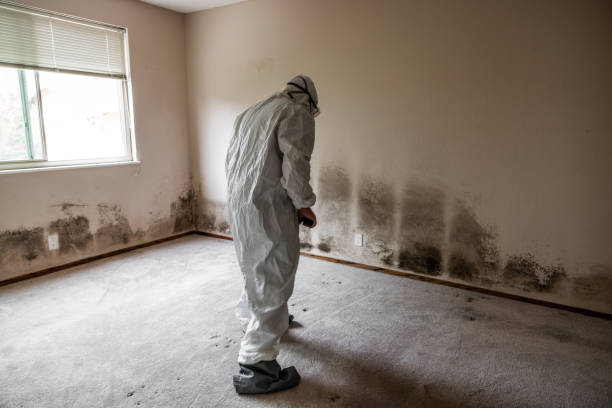 Best Real Estate Mold Inspection  in Norwood, NC